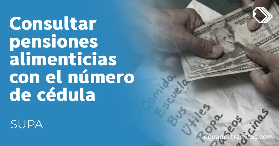 supa-consulta-de-pensiones-alimenticias-con-cedula