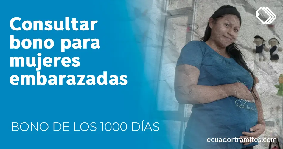 bono-de-los-1000-días-consulta