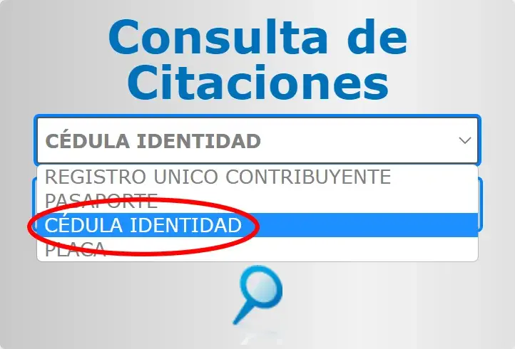consulta-de-multas-por-placa