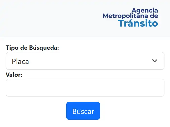 multas-amt-por-placa